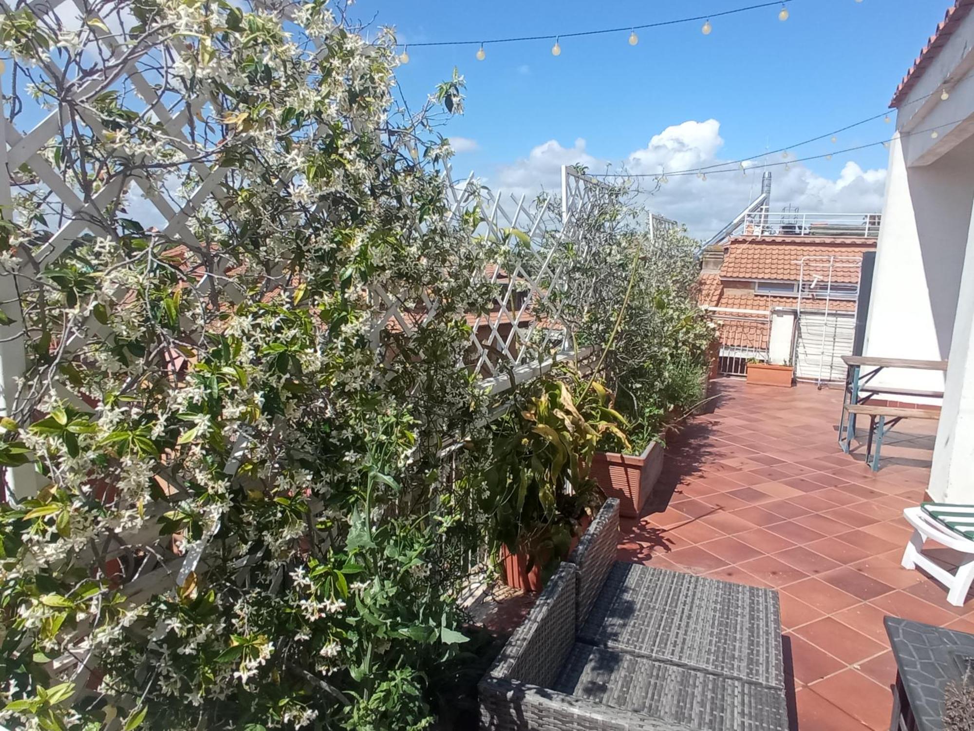 Rooftop Appia Antica,Silenzioso Riservato Two Bedrooms Two Bathrooms Rome Exterior photo